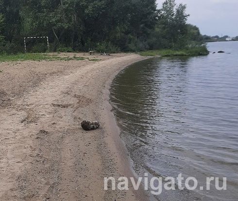 Ожоги, раны, переломы. О травматизме детей летом рассказали медики