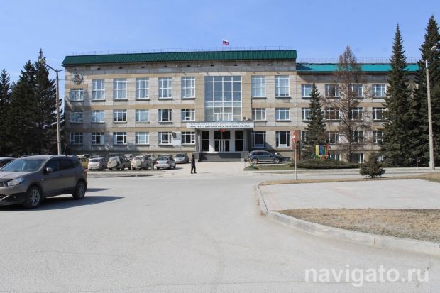 Аспиранты из Новосибирска получат стипендии Президента