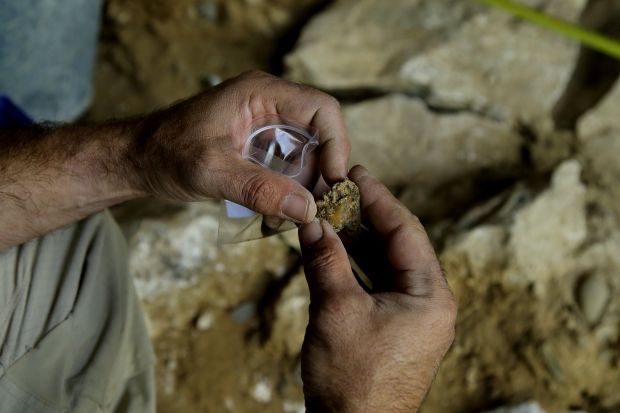 В гости к сибирским неандертальцам приглашают новосибирцев