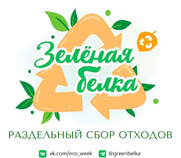 Акция «Зеленая белка» проводится в Советском районе