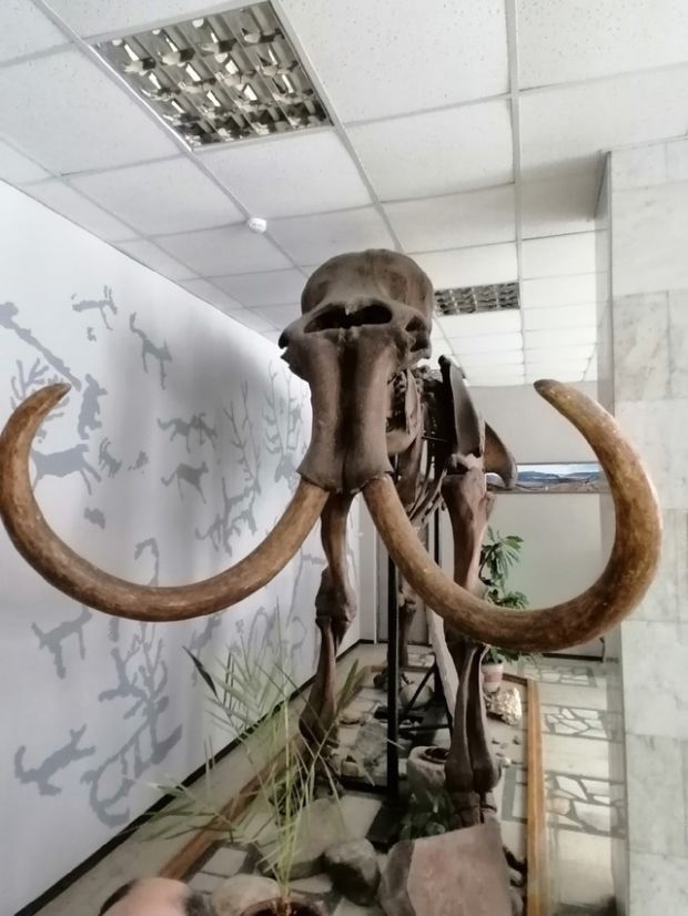 Учёные нашли способ изучения генома вымерших животных