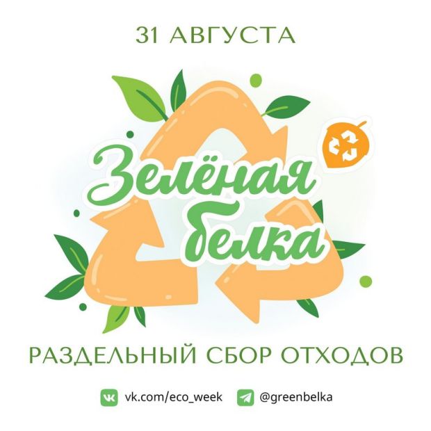Акция «Зеленая белка» пройдет в Советском районе