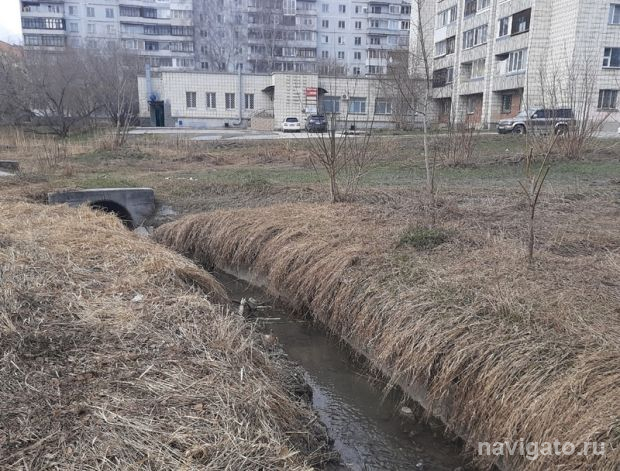 Энергетики нашли причину потепления воды в речке Чербузы