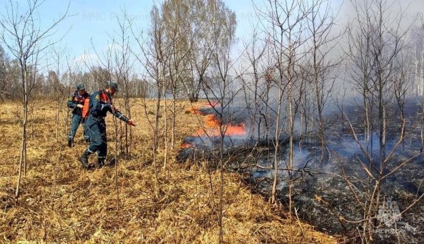 Сезон лесных пожаров в регионе может начаться раньше