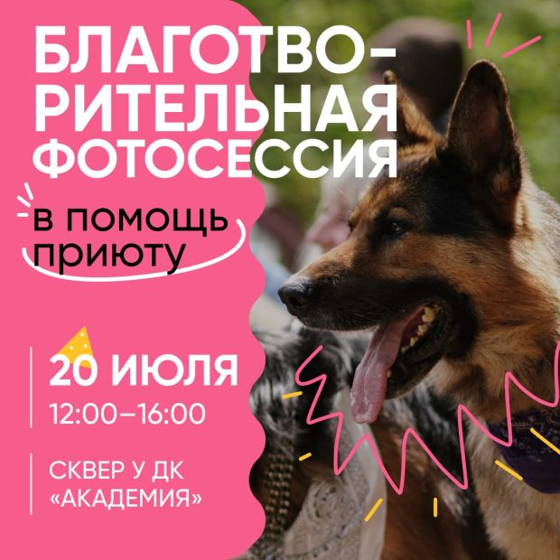Летняя фотосессия в помощь собакам из приюта пройдёт в Академгородке