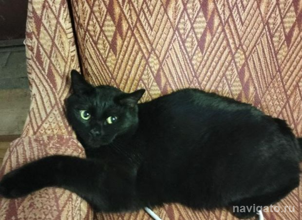 База реабилитации животных переехала в микрорайон Щ