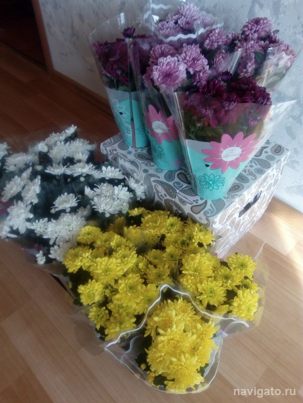 Новосибирцы могут принять участие в акции «Дети вместо цветов»