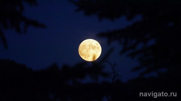 Полная фаза лунного затмения в Новосибирске продлится почти 20 минут