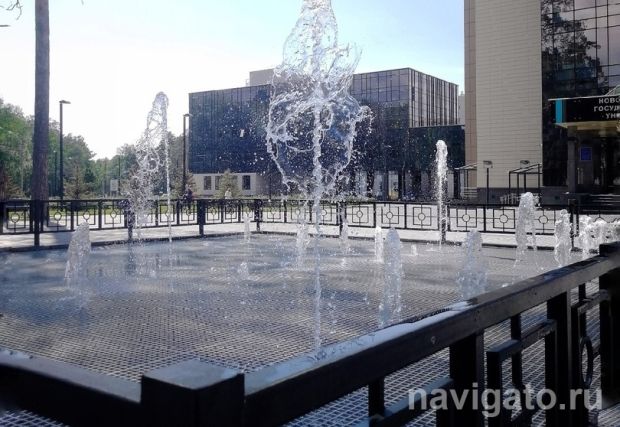 Разговорную речь жителей Академгородка исследовала выпускница НГУ