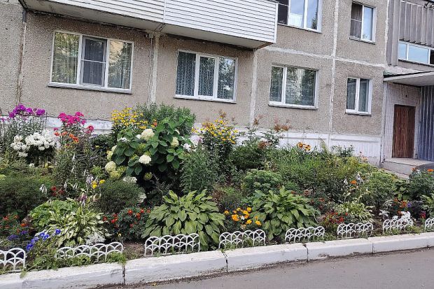 Самую красивую клумбу выбрали в Новосибирске