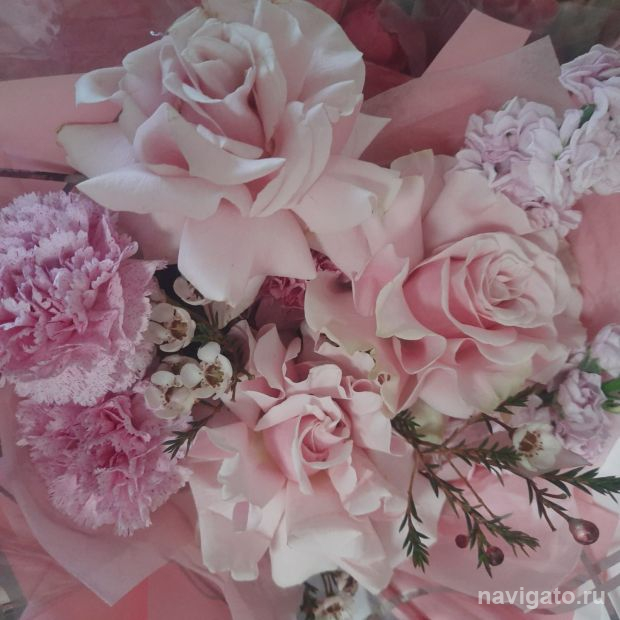 Мэр Максим Кудрявцев поздравляет учителей с праздником