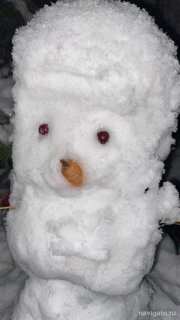 В Новосибирске ожидаются погодные качели с потеплением