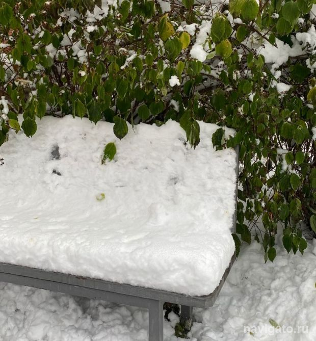 Синоптики обещают новосибирцам потепление