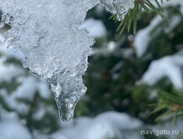 В выходные в Новосибирске заметно потеплеет