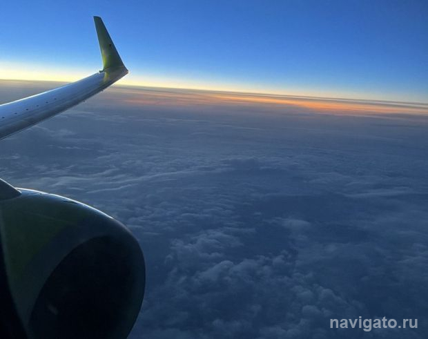 Министр здравоохранения НСО помог пассажирке самолёта