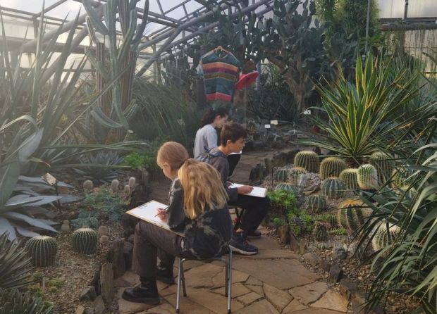 Экскурсии с пленэрами проходят в Ботаническом саду СО РАН