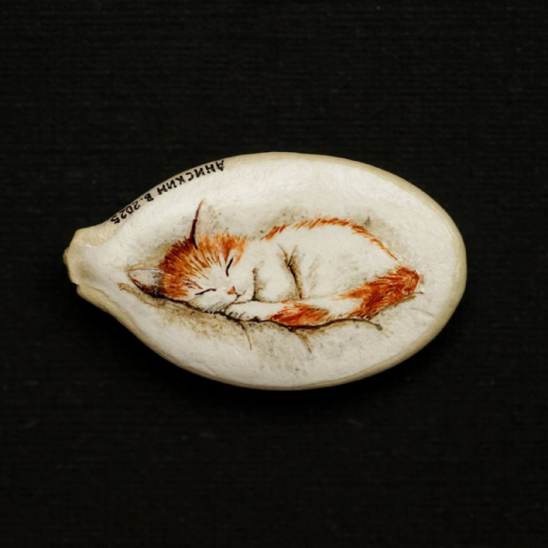 Микроминиатюрист создал коллекцию рисунков на тыквенных семечках