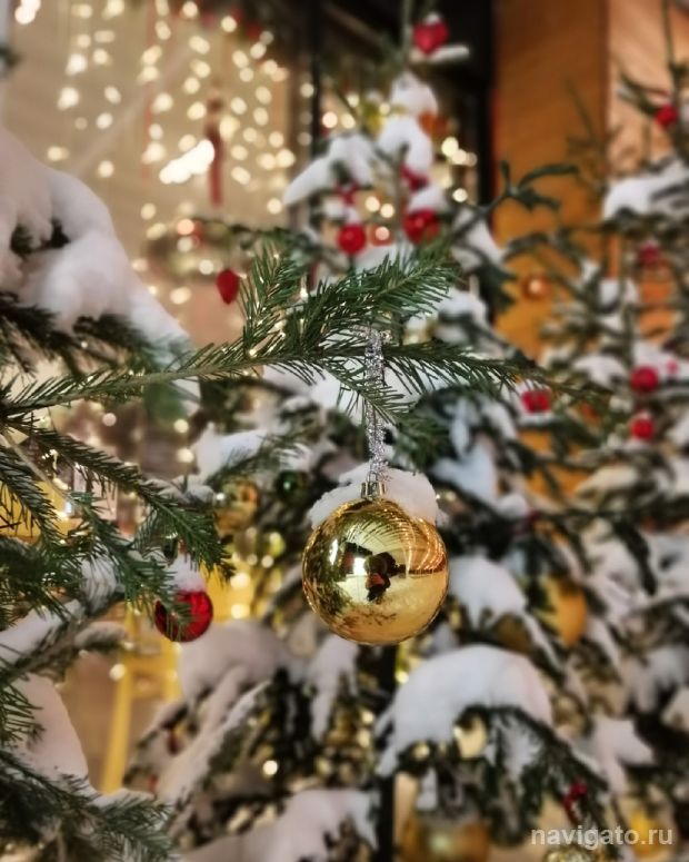 Первые новогодние пространства открыли в Новосибирске