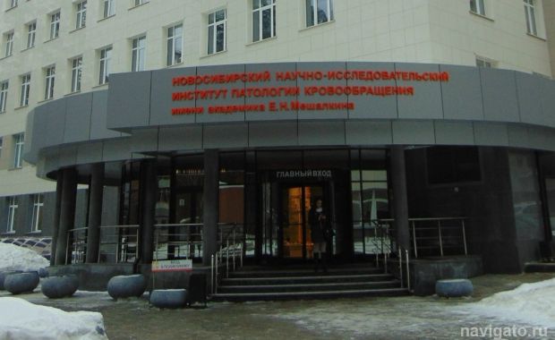 Центр Мешалкина начал формировать запас донорской крови