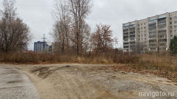 Более 1,5 миллиарда рублей направят на строительство дороги в Академгородке