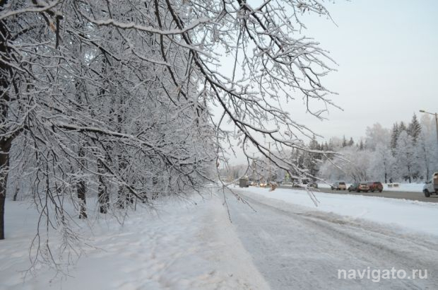 В Новосибирск вернутся ночные морозы