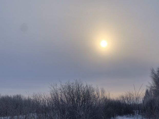 Режим «черного неба» объявили в Новосибирске