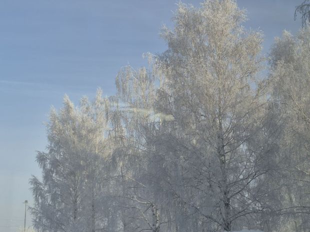 Режим «черного неба» продлили в Новосибирске