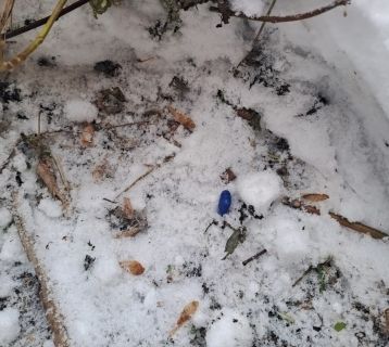 Новосибирец получил 8 с половиной лет колонии за сбыт наркотиков