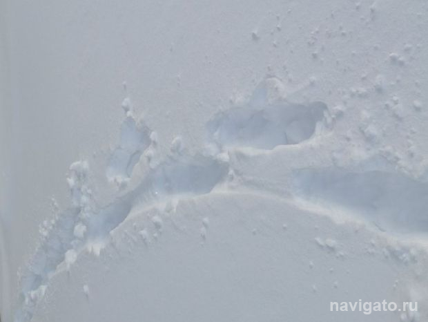 В Советском районе нашли замерзшую женщину