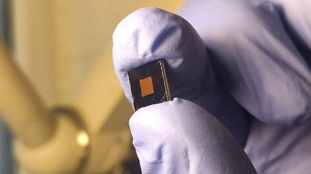 Наноантенный сенсор для диагностики рака создали ученые НГУ