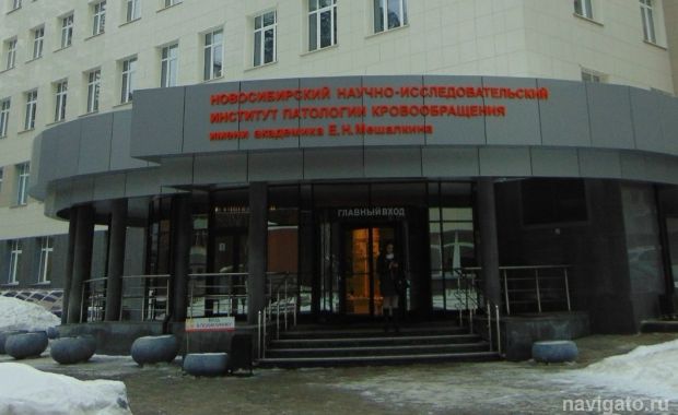 Врачи Центра Мешалкина спасли ребёнка с уникальной анатомией сердца