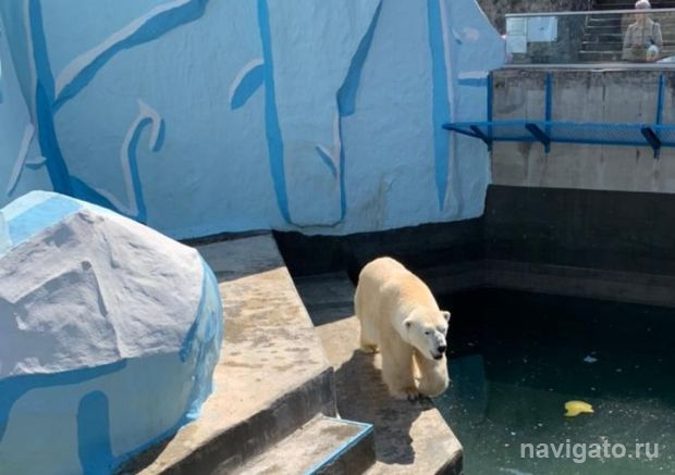 Президент России наградил замдиректора новосибирского зоопарка