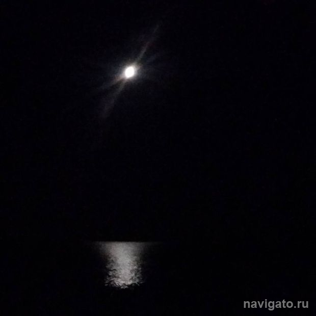 Лунное затмение и метеорные потоки новосибирцы смогут увидеть в марте