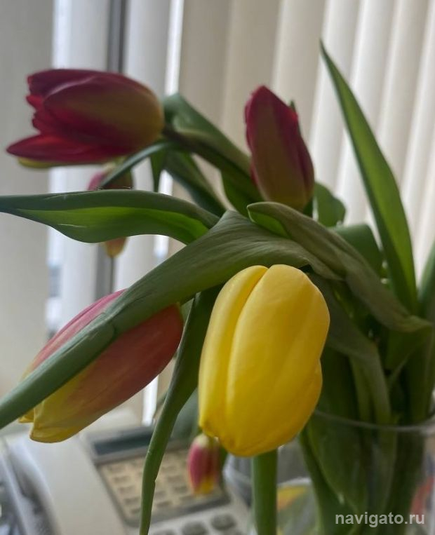 Пять укороченных рабочих недель будут у россиян в 2026 году