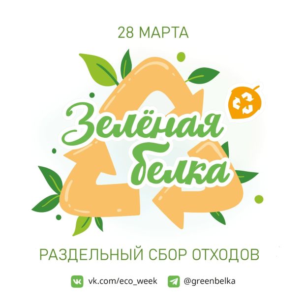 Жителей района приглашают участвовать в акции «Зеленая белка»