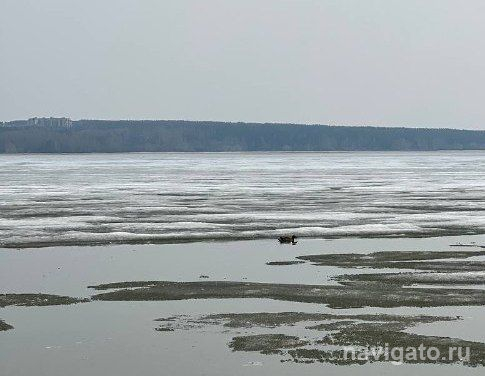 Спасатели МАСС контролируют безопасность на водоёмах