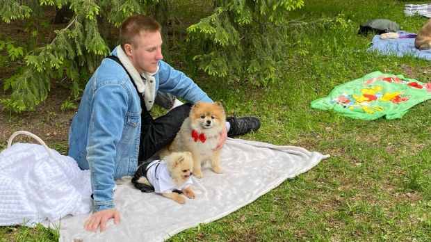 В Академгородке пройдет фотосессия в поддержку приюта собак