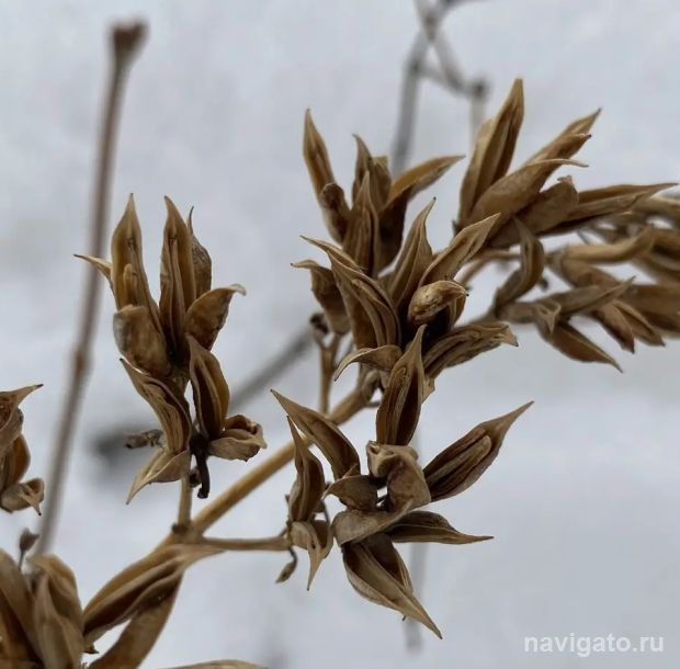 Синоптики предупреждают о резком потеплении