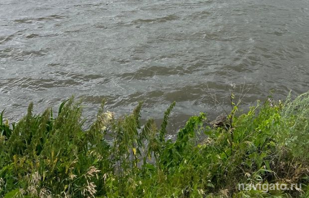 На лето набирают матросов-спасателей