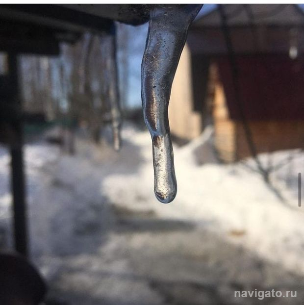 До +13 градусов потеплеет в Новосибирске