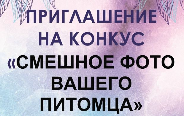 Центр по проблемам домашних животных приглашает на конкурс