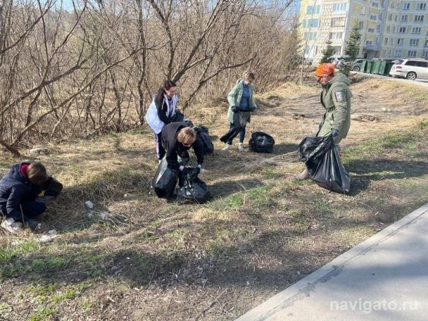 Названа дата общегородского субботника