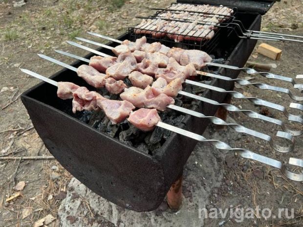 В Новосибирской области установили особый противопожарный режим