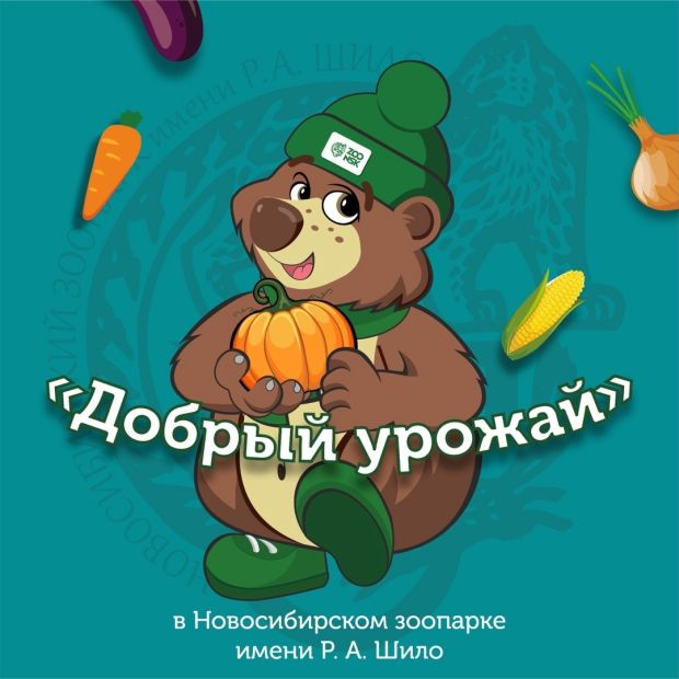 В Новосибирском зоопарке начали принимать овощи для животных