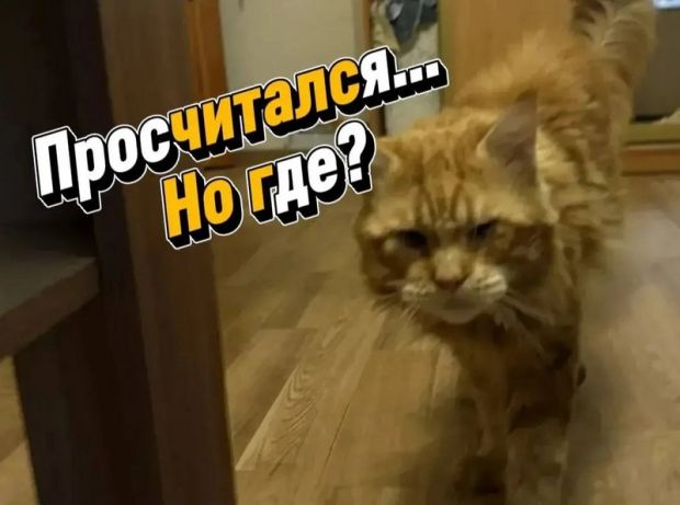 В микрорайоне ОбьГЭС кот закрыл хозяйку на балконе