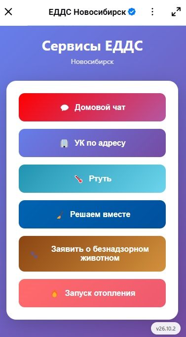 Сервис для информирования о бездомных животных запустили в Новосибирске