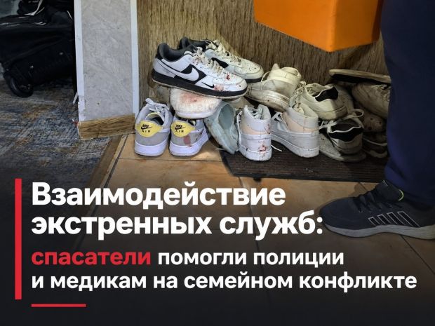 Спасатели пришли на помощь женщине с ребёнком в Новосибирске